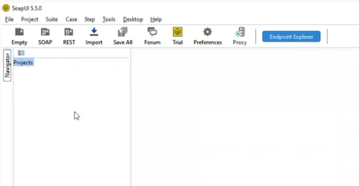 empty Projects panel