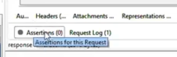the Assertions(0) button
