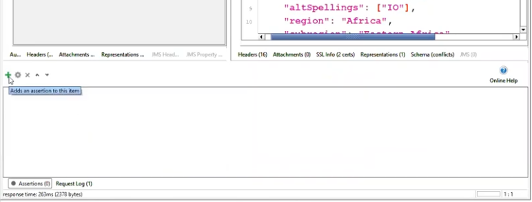 the Assertions(0) button