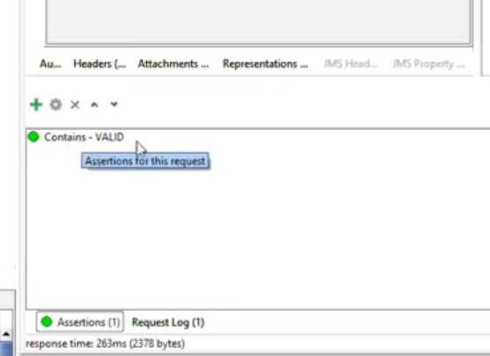 the Assertions panel or pane