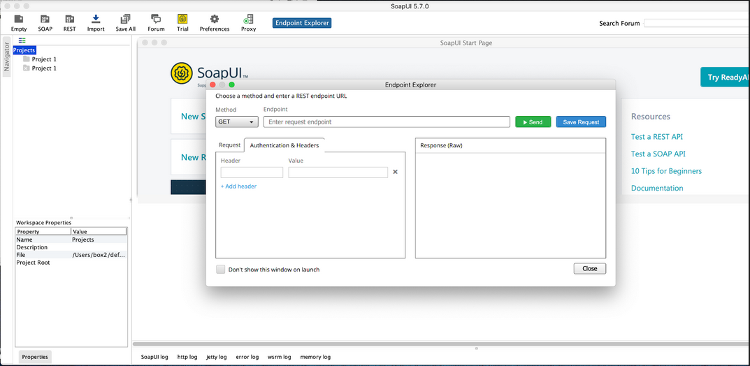 Use endpoint explorer to enter data